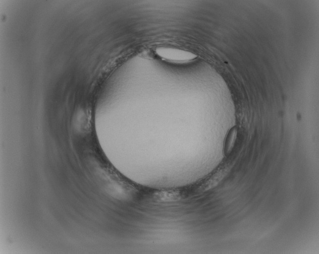 X0000075860660200610061938