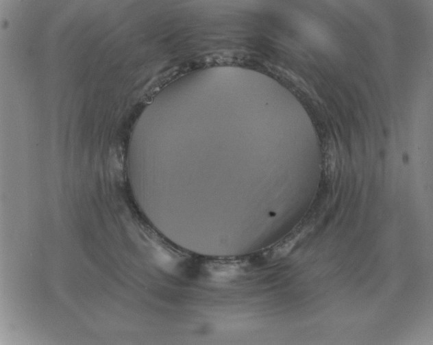 X0000075860661200610061938