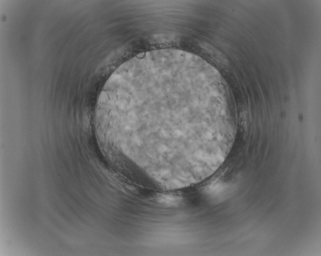 X0000075860662200610061938