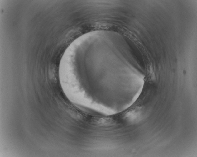 X0000075860663200610061938