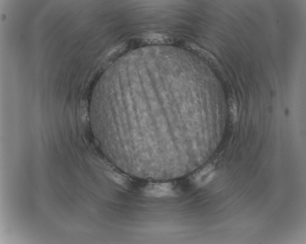 X0000075860665200610061938