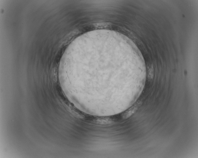 X0000075860666200610061938