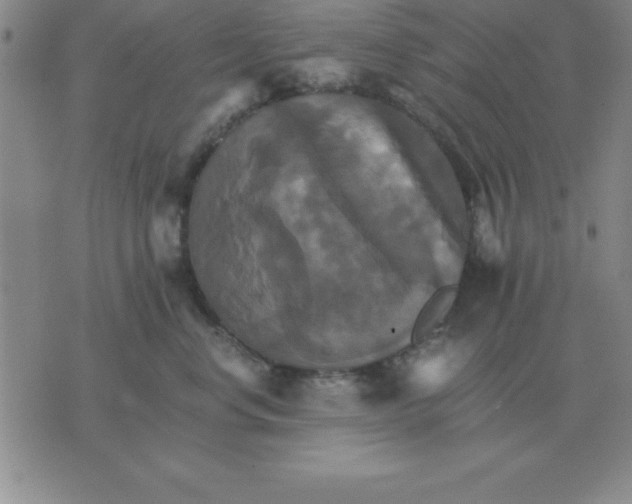 X0000075860668200610061938