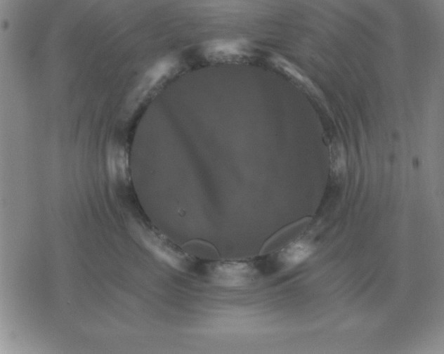 X0000075860669200610061938