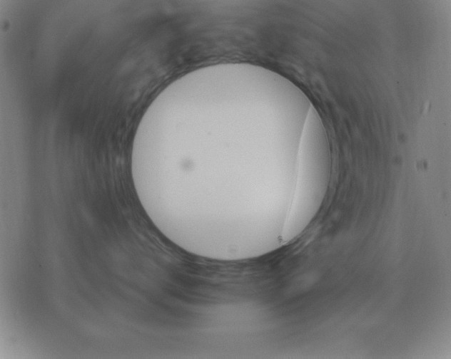 X0000075860672200610061939