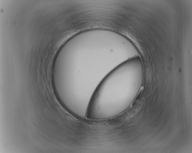 X0000075860673200610061938