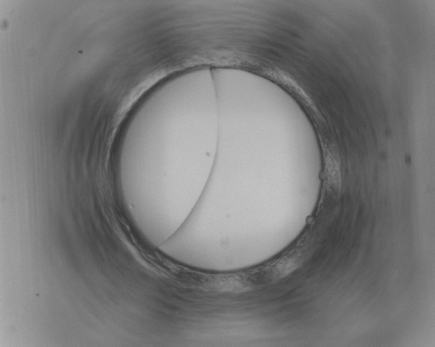 X0000075860674200610061938