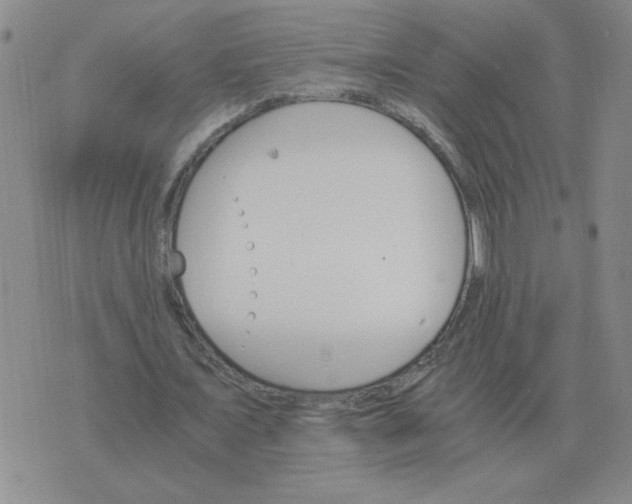 X0000075860675200610061938