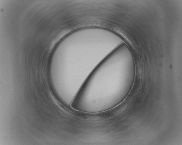 X0000075860677200610061938