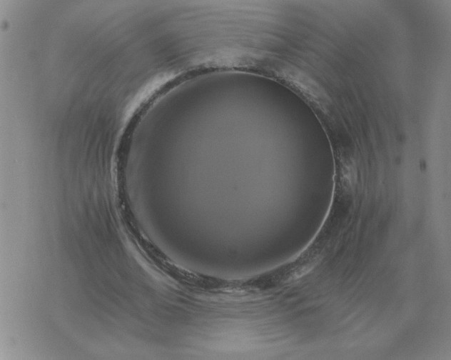 X0000075860678200610061938