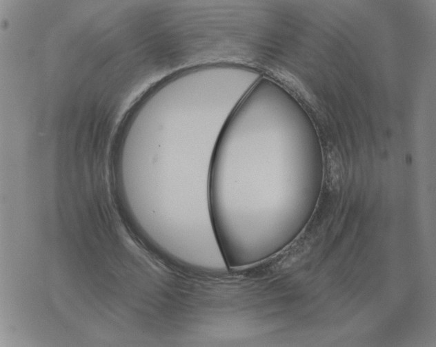 X0000075860680200610061938