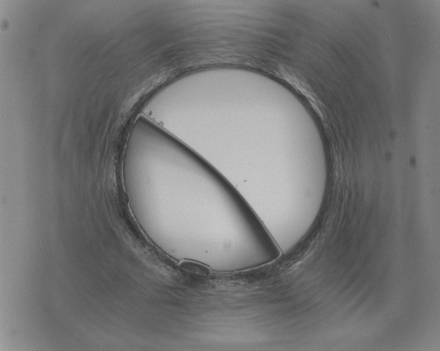 X0000075860681200610061938