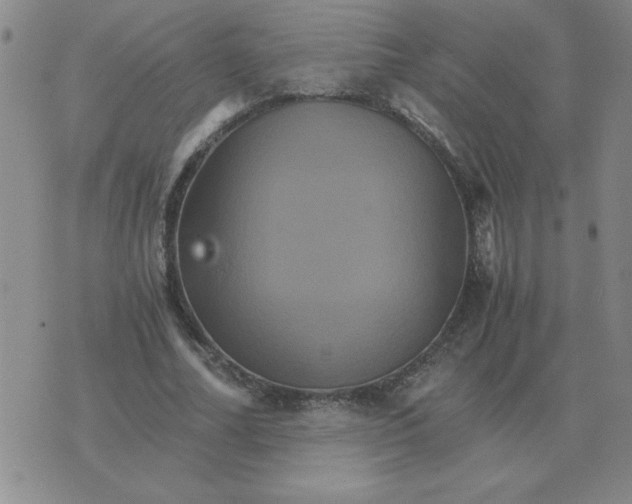 X0000075860682200610061938