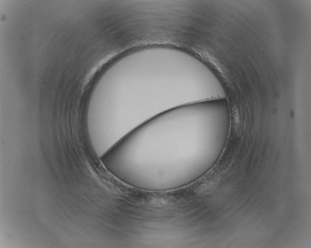 X0000075860684200610061938