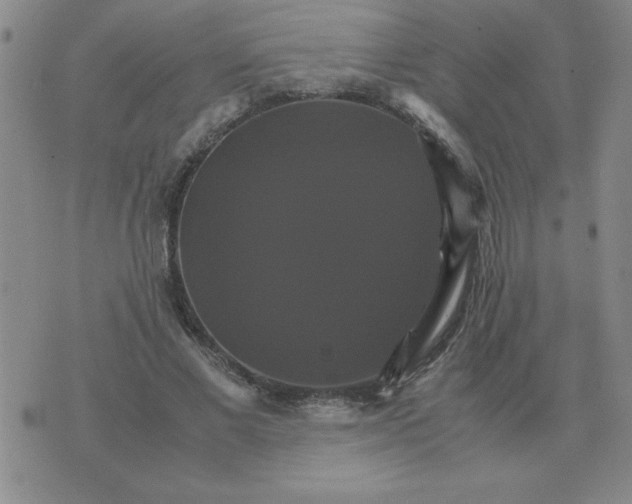 X0000075860685200610061938