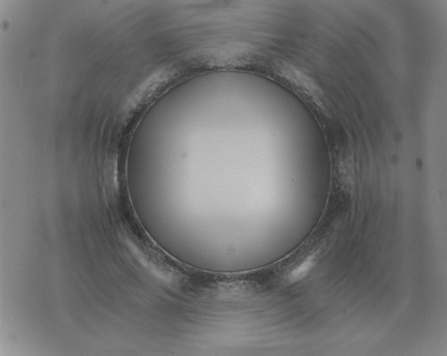 X0000075860686200610061938