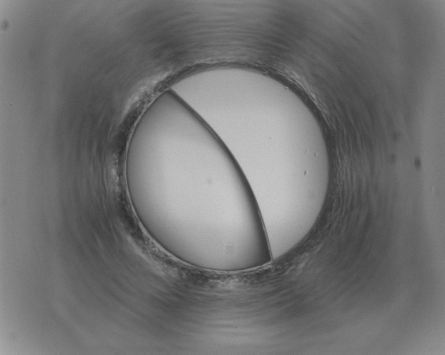 X0000075860688200610061937