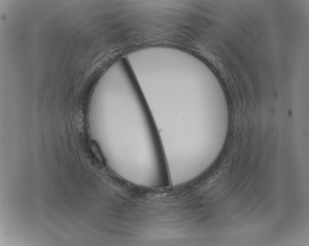 X0000075860689200610061937