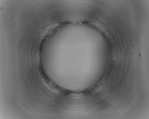 X0000075860690200610061937