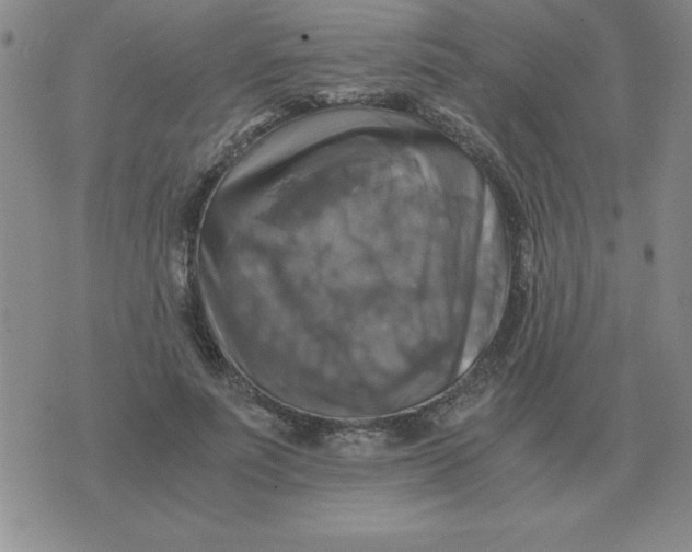 X0000075860691200610061937