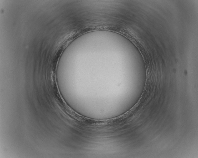 X0000075860692200610061937