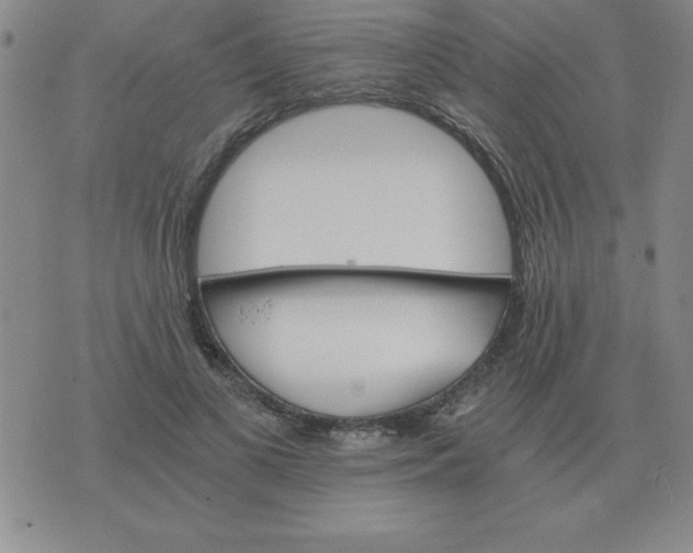 X0000075860693200610061937