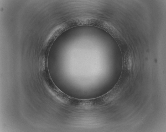 X0000075860694200610061937