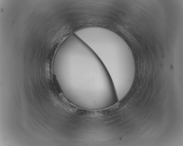 X0000075860696200610061937