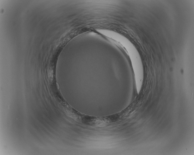 X0000075860697200610061937