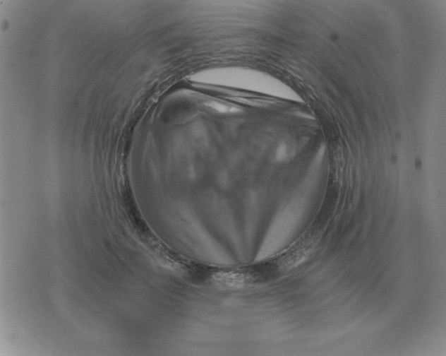 X0000075860699200610061937