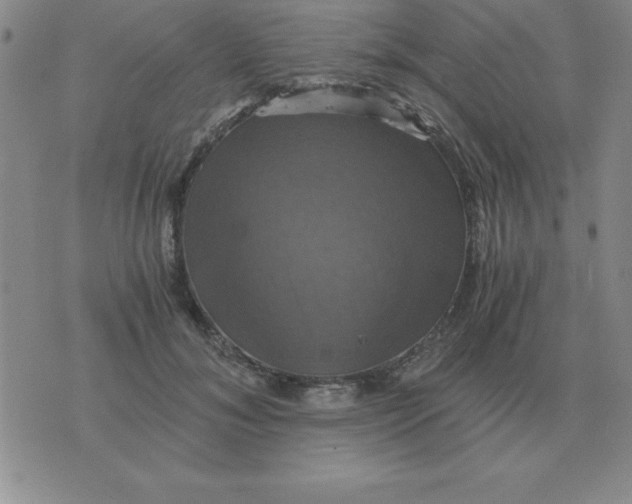 X0000075860700200610061937