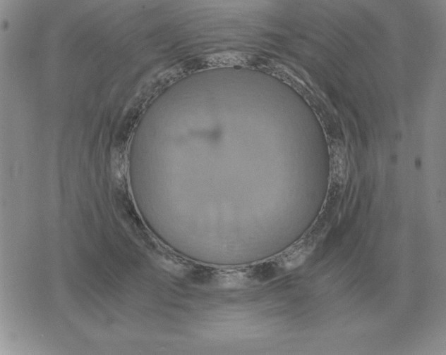 X0000075860701200610061937