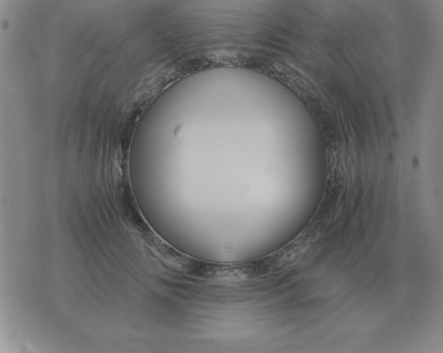 X0000075860702200610061937