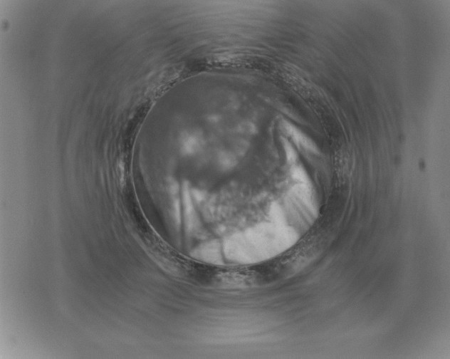 X0000075860703200610061937