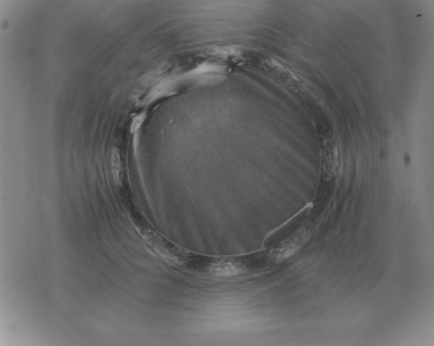 X0000075860704200610061937