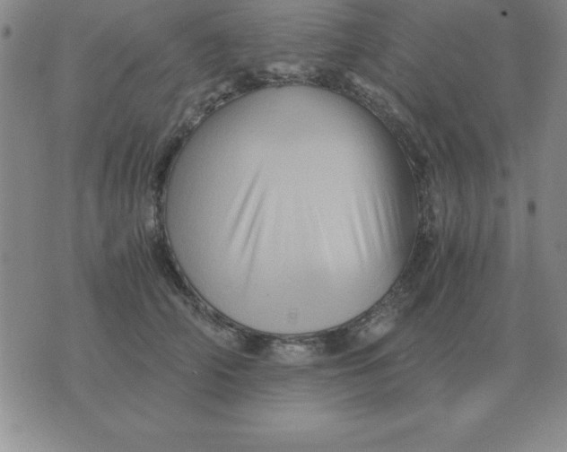 X0000075860706200610061937