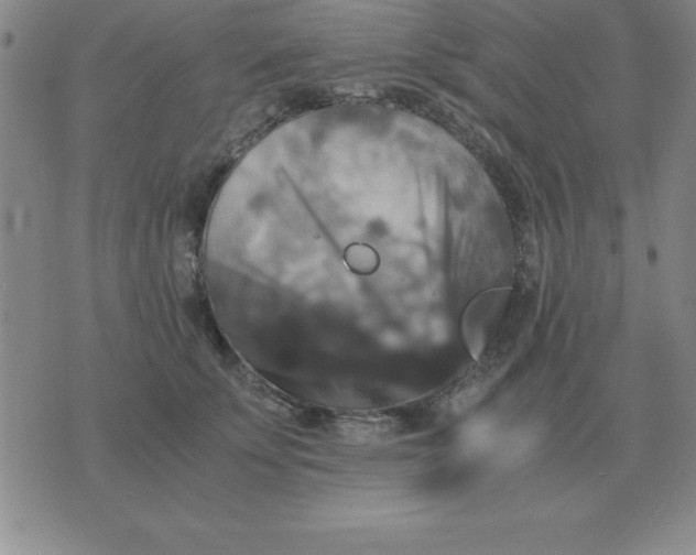 X0000075860707200610061937