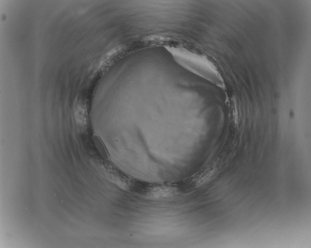 X0000075860708200610061937