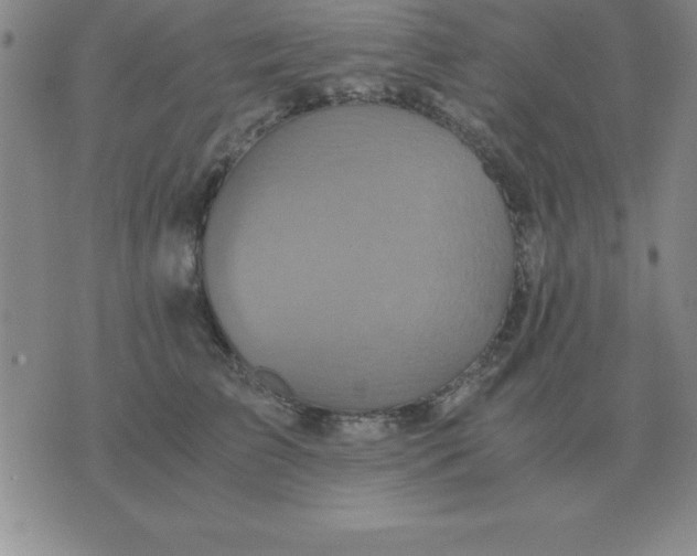 X0000075860709200610061937