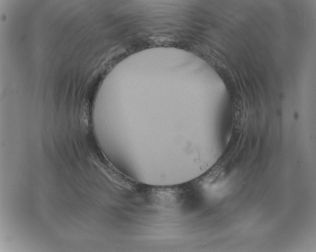 X0000075860710200610061937