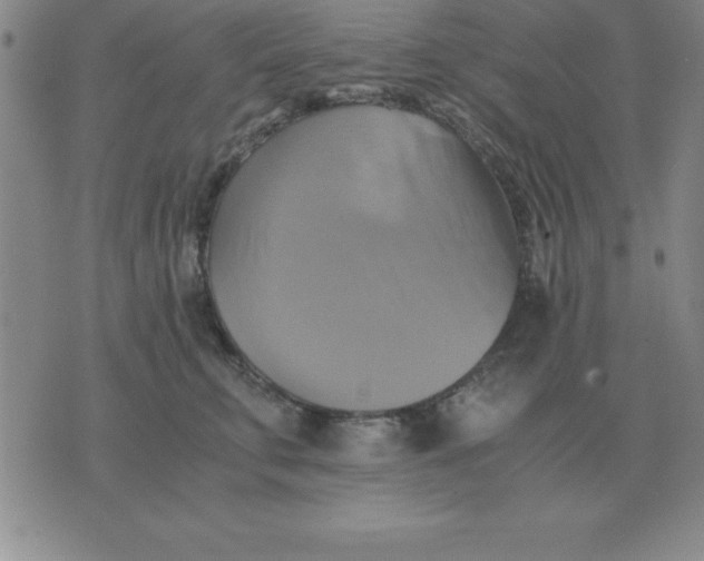 X0000075860711200610061937