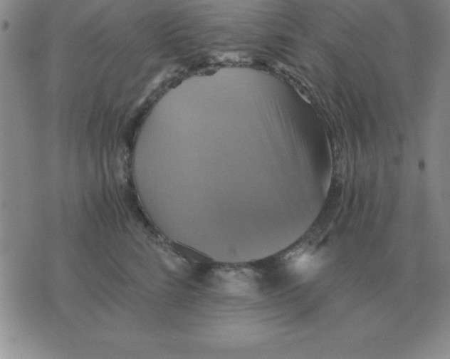 X0000075860712200610061937