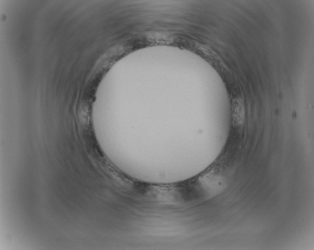 X0000075860713200610061937