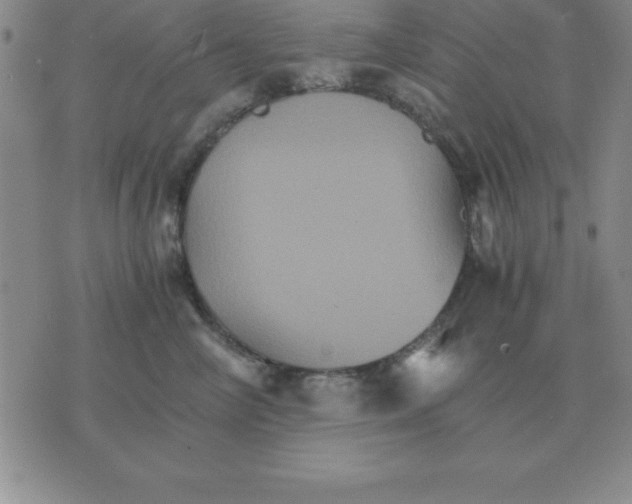 X0000075860714200610061937