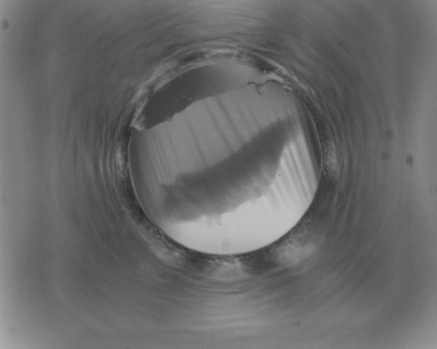 X0000075860715200610061937