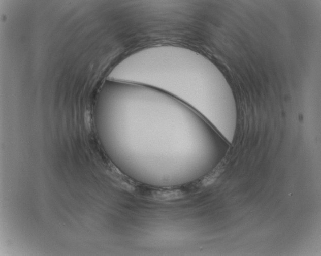 X0000075860716200610061937