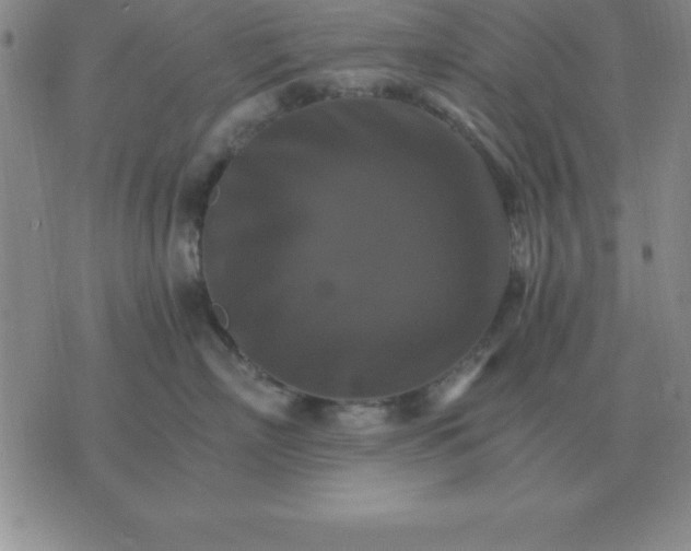 X0000075860718200610061937