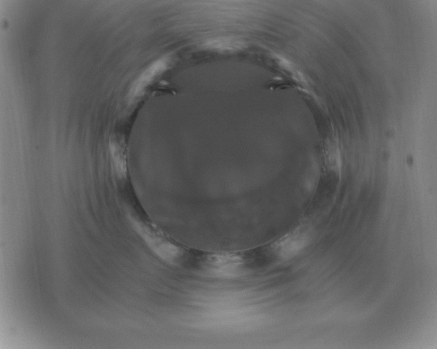 X0000075860719200610061937