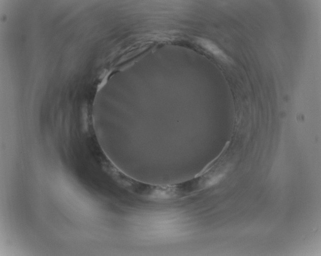 X0000075860720200610061937