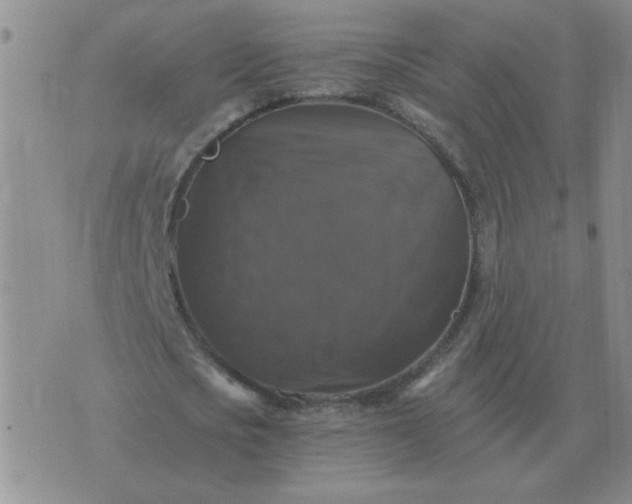 X0000075860721200610061936